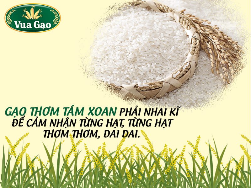 Từng hạt gạo tám xoan dẻo thơm, nhiều dinh dưỡng