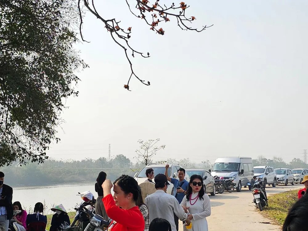 Xe máy và ô tô của du khách đậu kín trên triền đê, minh chứng sức hút của cây gạo Miếu Bà Cô