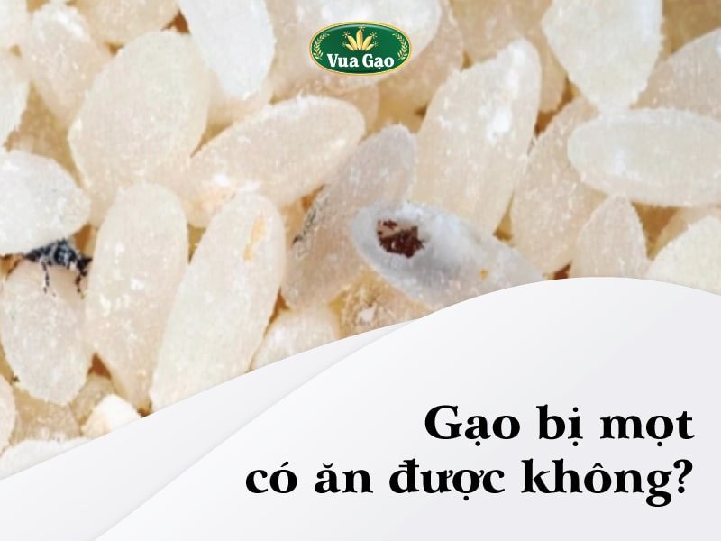 Xử lý gạo khi bị mọt tấn công