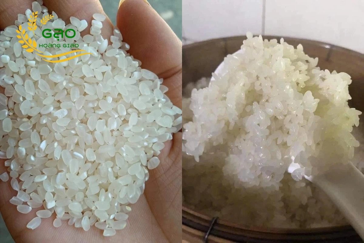 Bát cơm thơm dẻo từ gạo Séng Cù hạt tròn