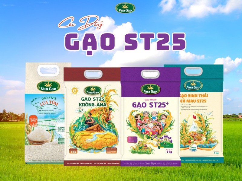 Các loại gạo ST25 phổ biến trên thị trường