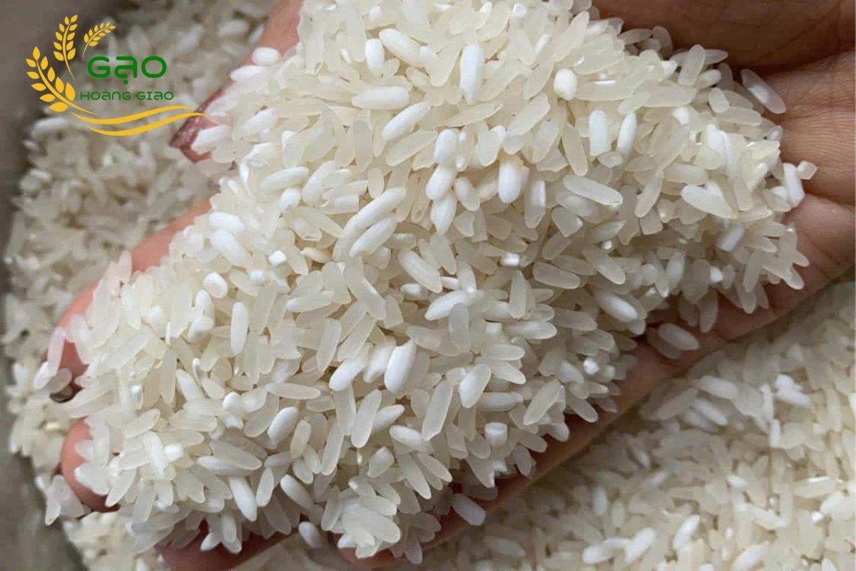 Đặc sản gạo Séng Cù từ vùng Tây Bắc Việt Nam