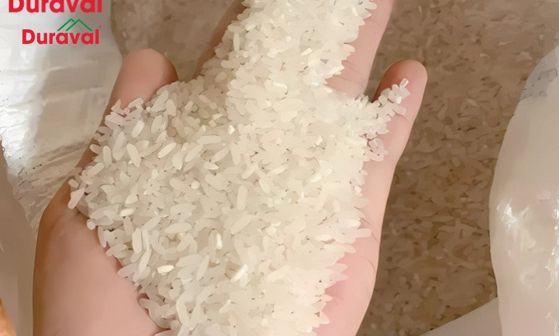 Gạo Bắc Hương Nam Định, hạt bầu trắng đục, mang đến bữa cơm dẻo thơm ngon truyền thống