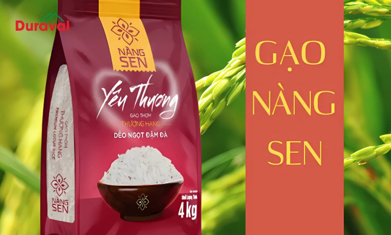 Gạo Nàng Sen Đồng bằng sông Cửu Long, hạt dẹp trắng sữa, cho cơm dẻo thơm ngon xuất khẩu