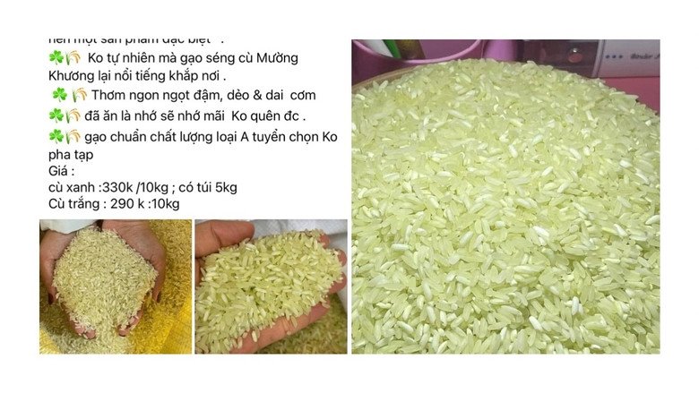 Gạo séng cù xanh lạ mắt thu hút người tiêu dùng trên thị trường