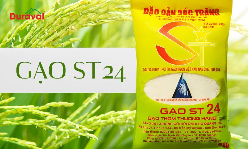 Gạo ST24 chất lượng cao, hạt dài trắng tinh, là loại gạo dẻo thơm ngon nhất thế giới