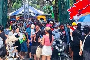 Gạo ST25 Bách Hóa Xanh