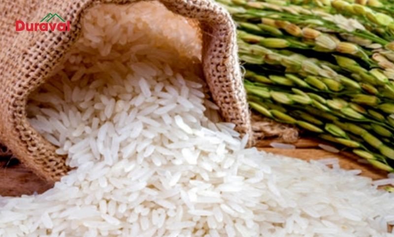 Gạo Tám Xoan Hải Hậu, hạt nhỏ tròn, thơm mùi lúa mới, là một trong những loại gạo dẻo thơm ngon