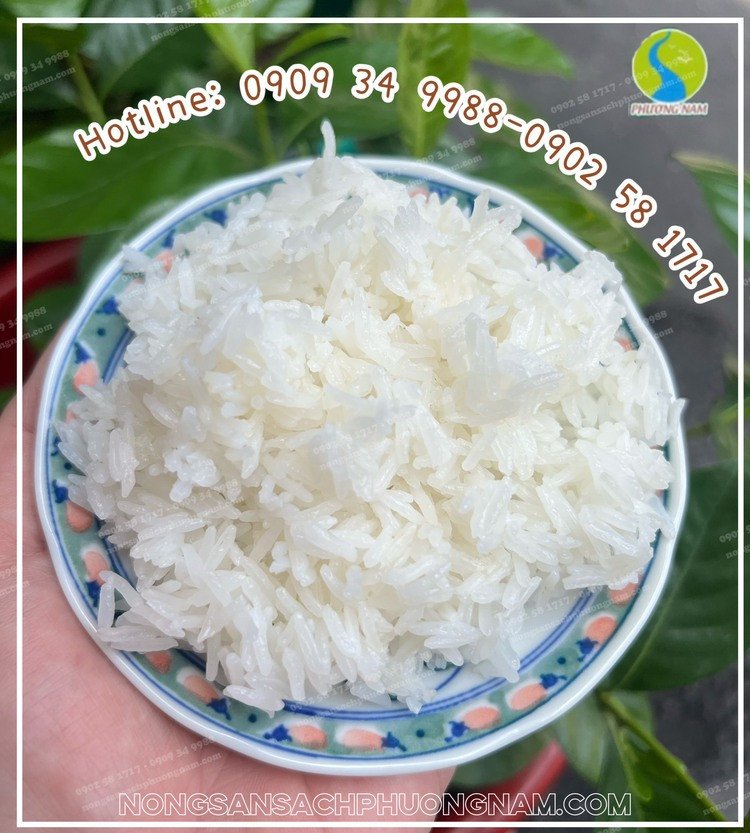 Hạt cơm gạo ST25 rất ngon và có mùi thơm cốm nhẹ