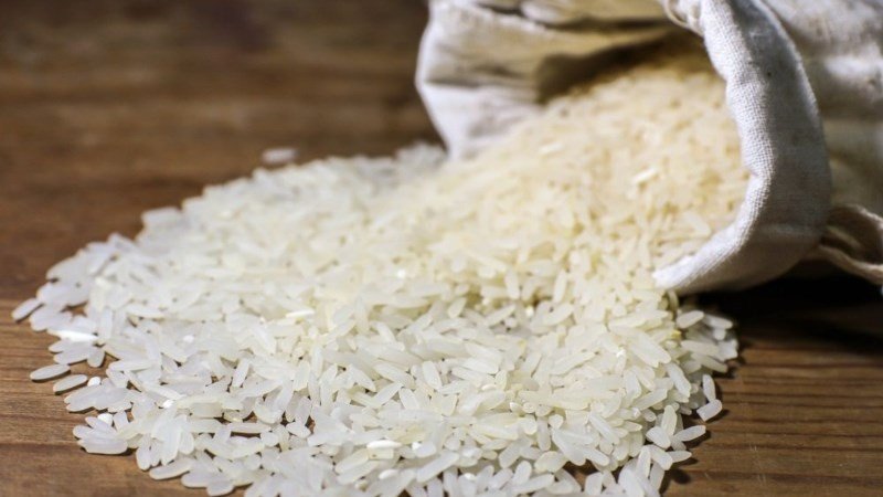 Hạt gạo hữu cơ chất lượng cao