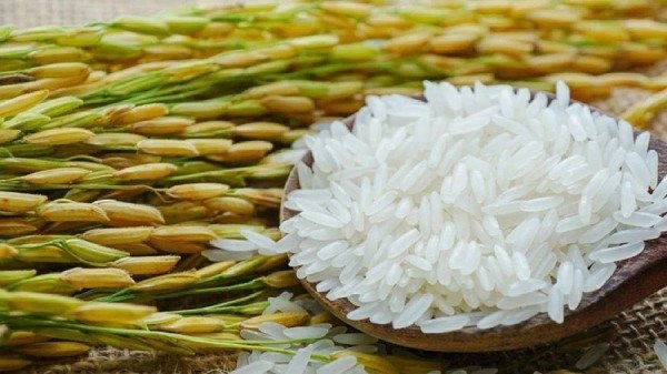Hạt gạo Malys Angkor Campuchia chất lượng cao