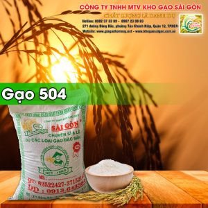 Hình ảnh một túi gạo 504 loại 10kg, tượng trưng cho các loại gạo phổ biến trên thị trường