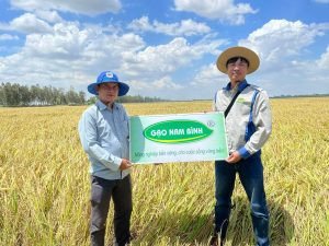 Hợp tác sản xuất lúa gạo, đảm bảo nguồn cung ổn định