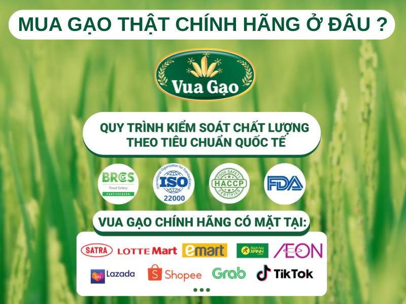 Mua gạo chất lượng ở đâu