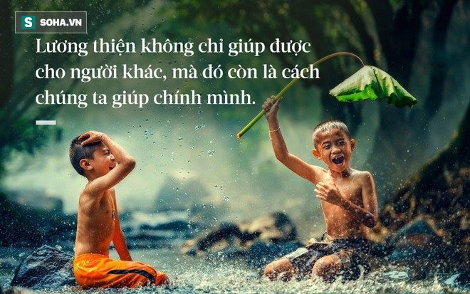 Ngày nào cũng rắc thóc gạo cho chim sẻ đến ăn, người đàn ông không ngờ việc này cứu mạng cả gia đình - Ảnh 1.