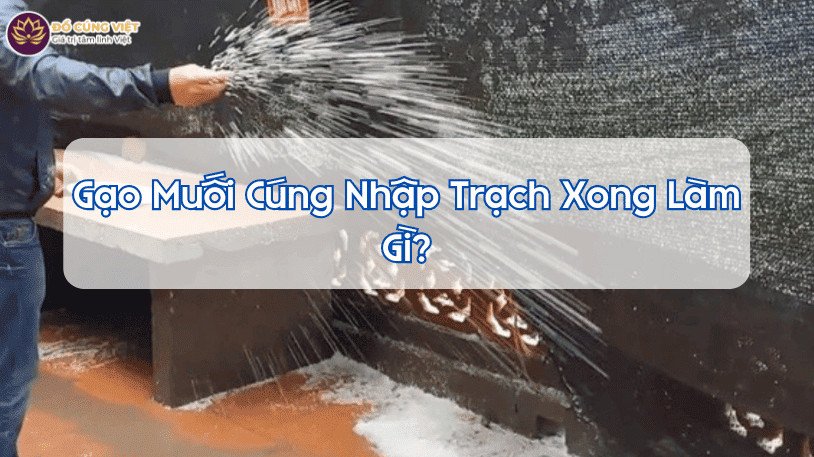 Nghi thức rải gạo muối cúng nhà mới xong làm gì theo phong thủy