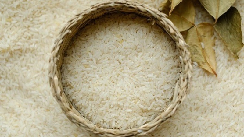 Nơi mua gạo hữu cơ uy tín