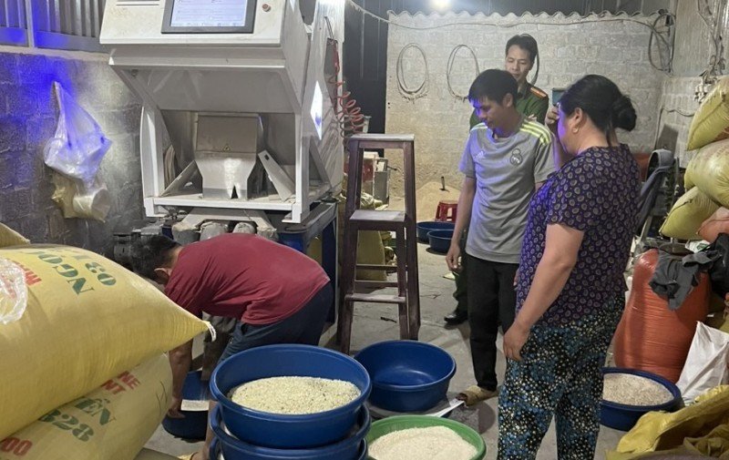 So sánh gạo séng cù truyền thống và gạo séng cù xanh bị nhuộm màu