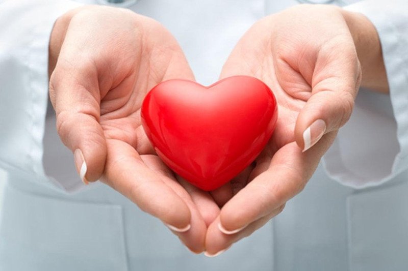 Sử dụng gạo lứt đen vừa phải sẽ đem lại nhiều lợi ích cho người dùng
