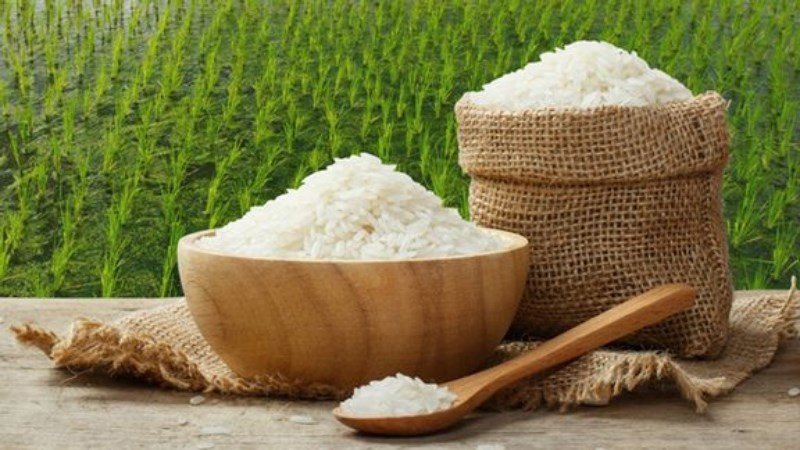 Sự khác biệt giữa gạo hữu cơ và gạo thường