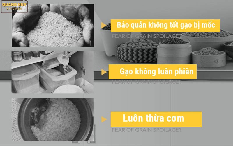 Thùng gạo thông minh giúp bảo quản gạo sạch sẽ, tránh côn trùng hiệu quả