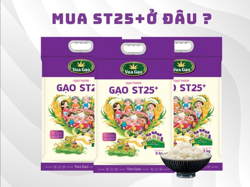 Tìm mua gạo ST25 vua gạo chính hãng và uy tín